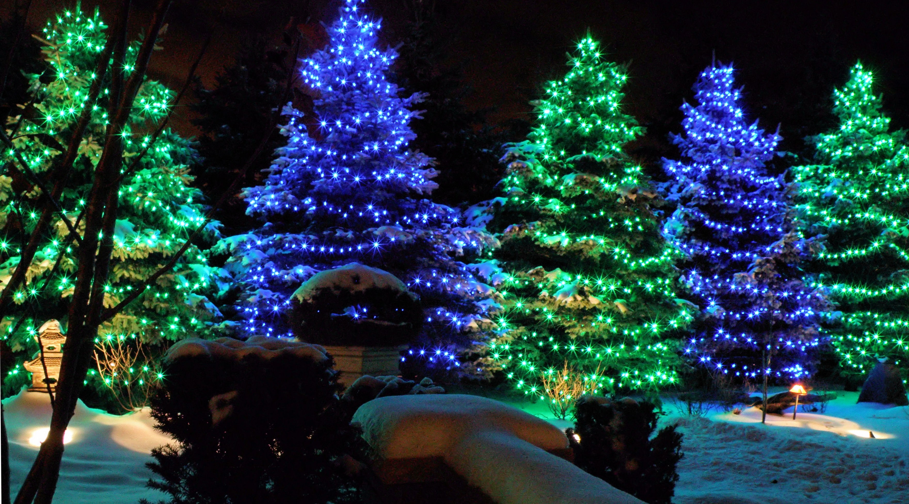 Downtown Austin tree lighting at plaza