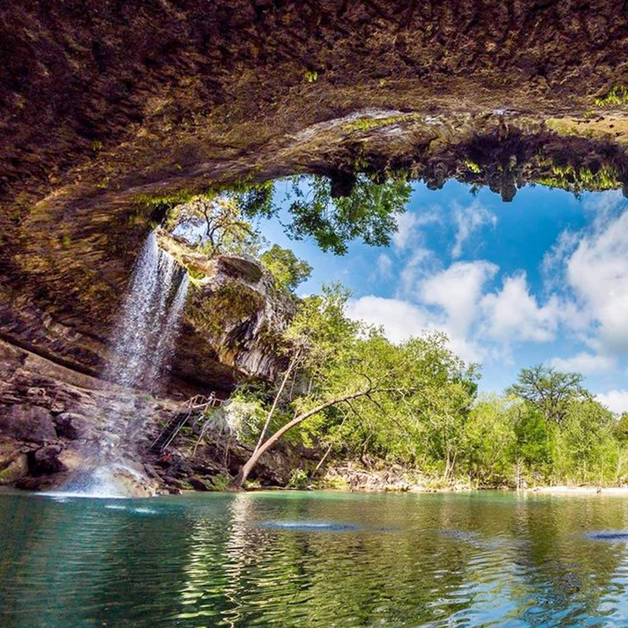 Christmas lights in Bee Cave